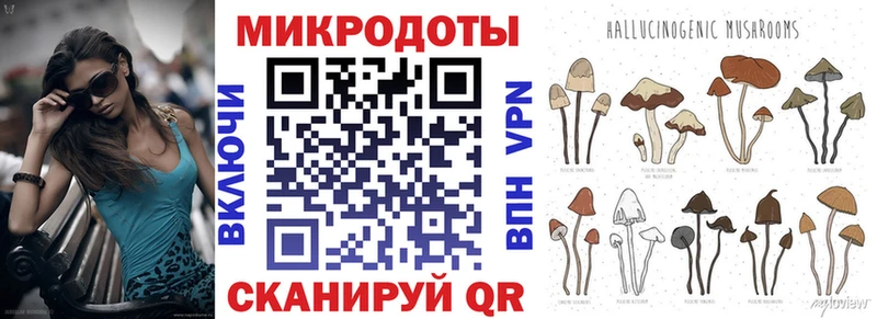 Галлюциногенные грибы Psilocybine cubensis Зеленокумск