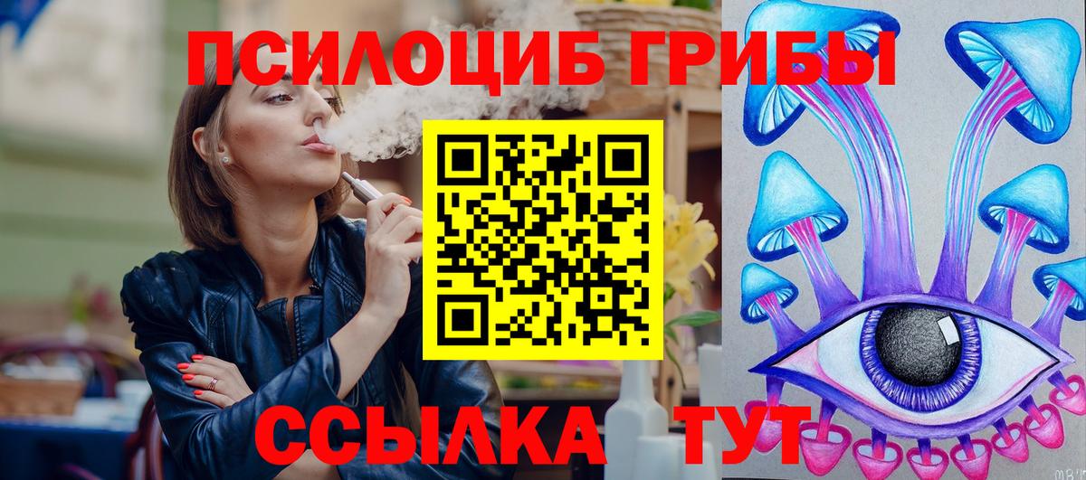 Псилоцибиновые грибы Cubensis  Вход с VPN  Зеленокумск 
